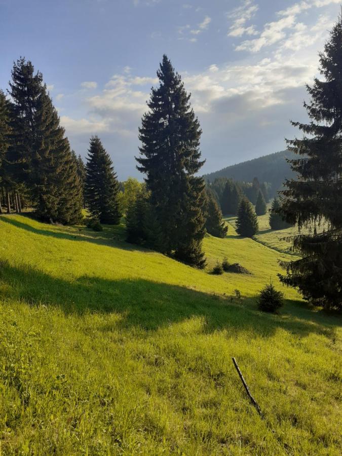 Chalupa U Pratel Kovářská Extérieur photo