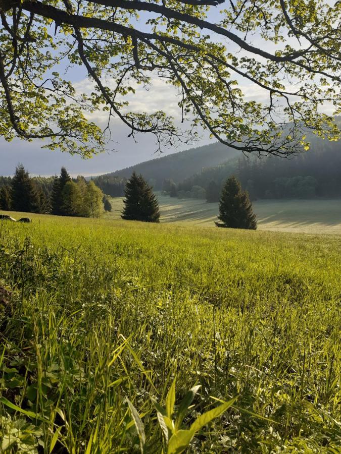 Chalupa U Pratel Kovářská Extérieur photo